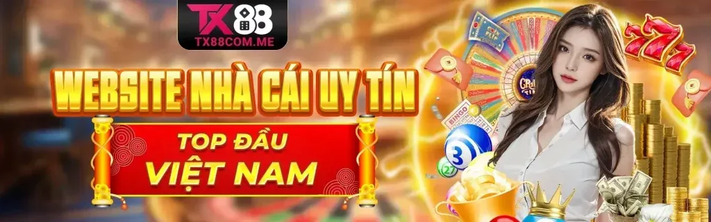 Giấy phép và quy định pháp lý của thái hoà 88